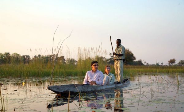 Okavango Delta: Oddballs Camp