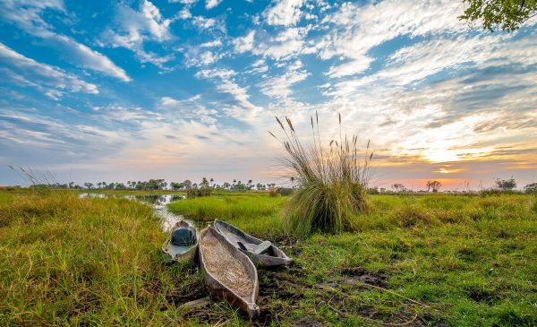 Okavango Delta: Oddballs Camp