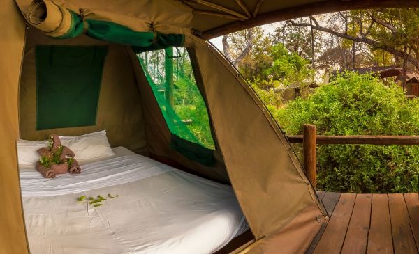 Okavango Delta: Oddballs Camp