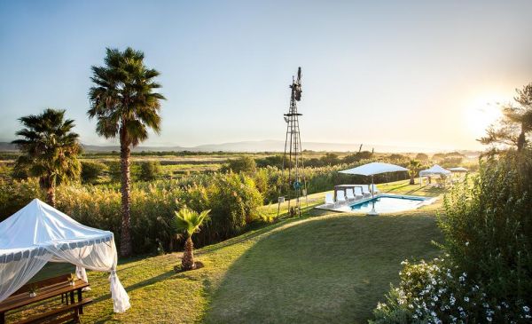 Oudtshoorn: De Zeekoe Guestfarm