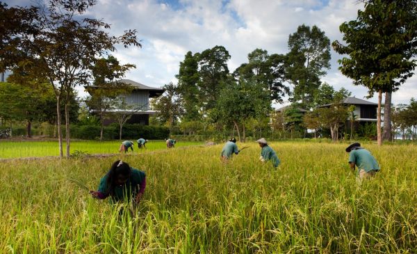 Champassak: The River Resort