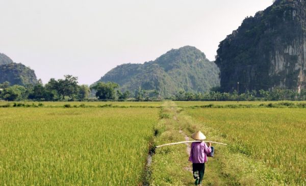 Ninh Binh