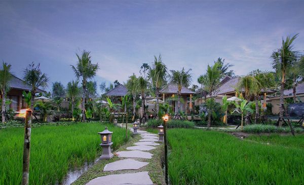 Ubud: The Sankara Resort