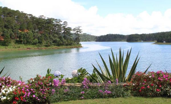 Dalat: Binh An Village Resort