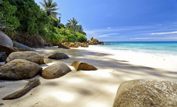 Mahé: Carana Beach Hotel