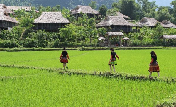 Mai Chau: Mai Chau Ecolodge