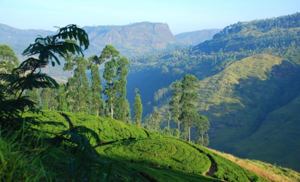 Nuwara Eliya: Jetwing St. Andrews