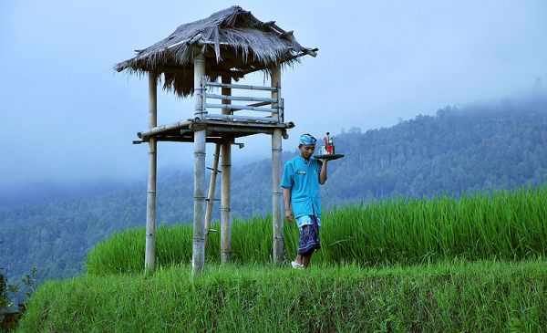 Munduk: Puri Lumbung