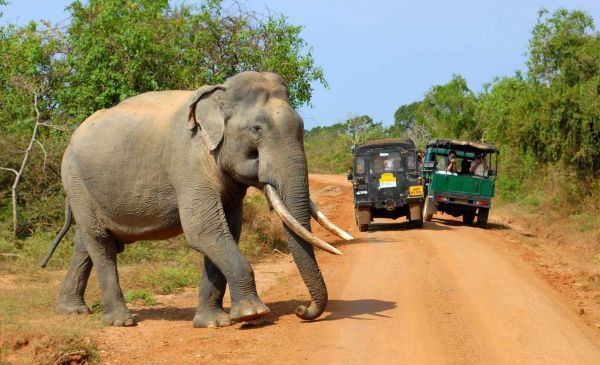 Veelzijdig Sri Lanka en paradijselijke Malediven