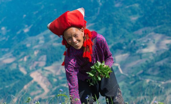 Mai Chau