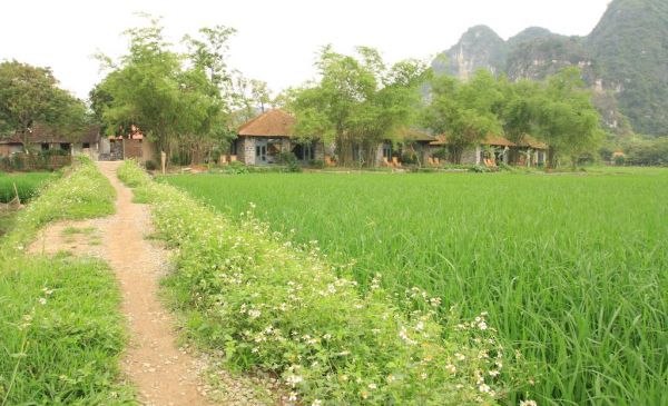 Ninh Binh: Tam Coc Garden Resort