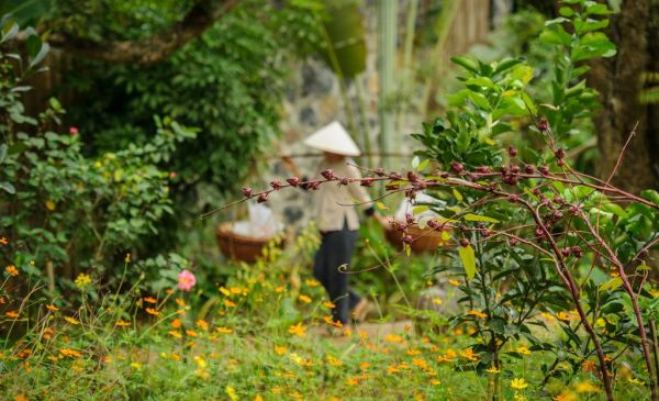 Ninh Binh: Tam Coc Garden Resort