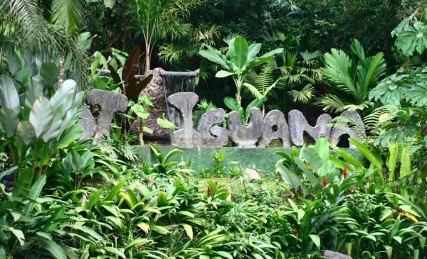 Arenal: Lost Iguana Resort