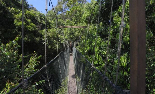 Taman Negara: Mutiara Resort