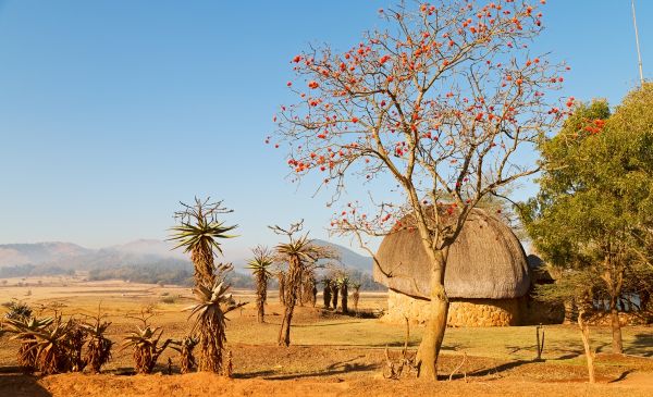 Swaziland