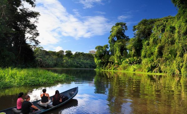 Tortuguero: Pachira Lodge