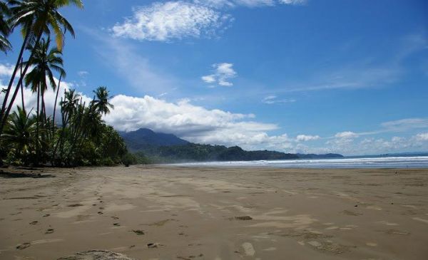 Uvita: Oxygen Jungle Villas