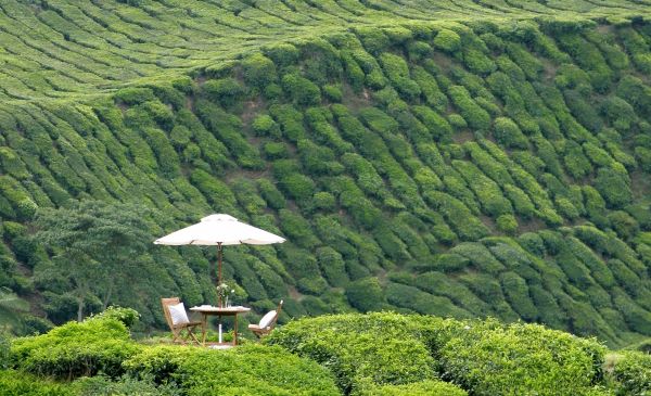 Cameron Highlands: Cameron Highlands Resort