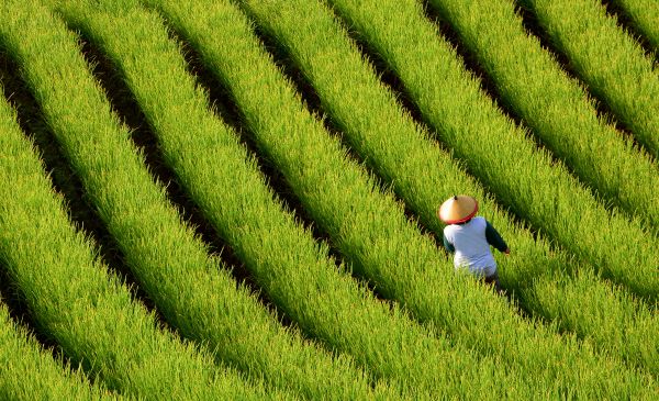 Selamat Datang! Welkom in Indonesië