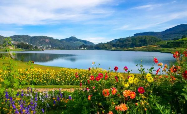 Nuwara Eliya: Villa Tea Fields