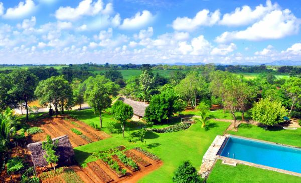 Udawalawe: Kalu's Hideaway