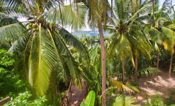 Kampot: Sabay Beach