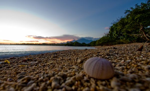 Menjangan: The Menjangan