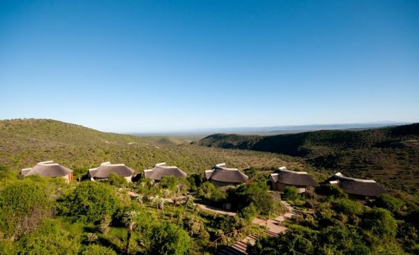 Addo: Kuzuko Lodge