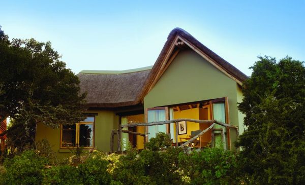 Addo: Kuzuko Lodge