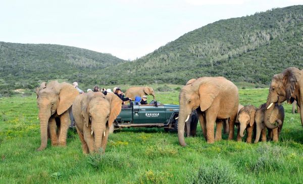 Addo: Kariega Game Reserve - Ukhozi Lodge