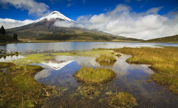 Bienvenidos en Ecuador!