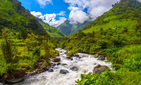 Baños 