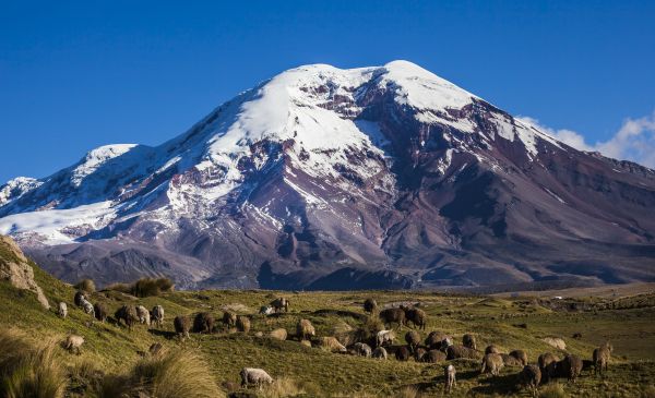 Riobamba