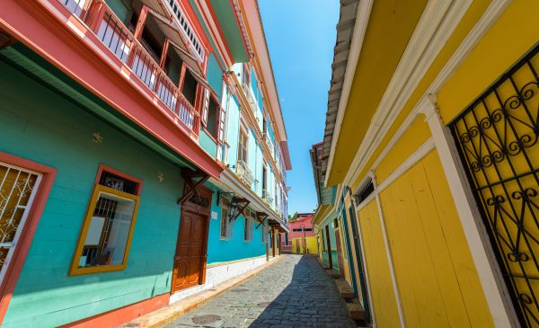 Cajas NP - Guayaquil