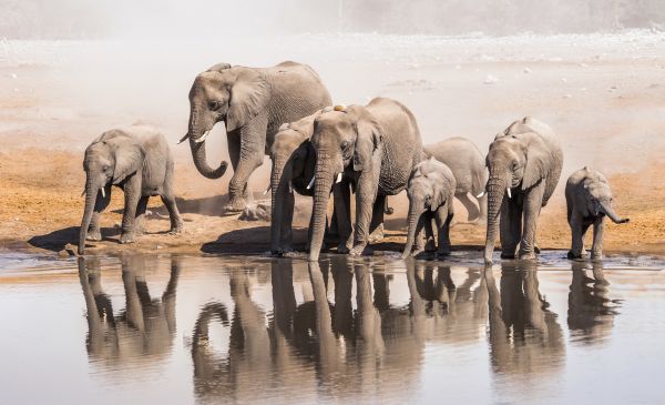 Etosha