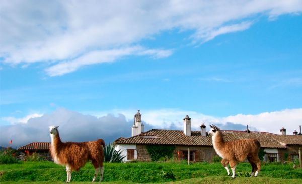 Cotopaxi: Hacienda San Augustin de Callo