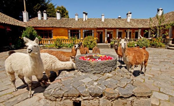 Cotopaxi: Hacienda San Augustin de Callo