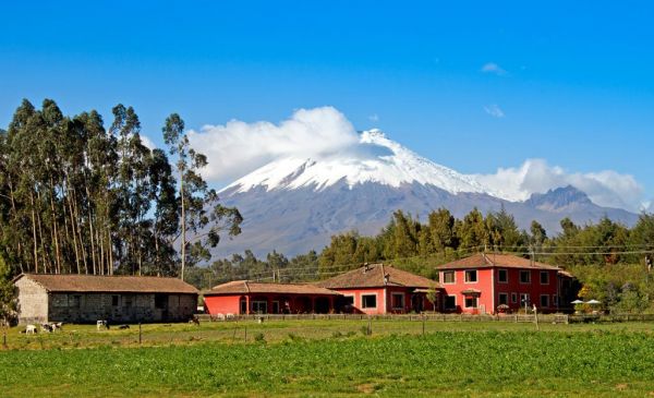 Cotopaxi: Hacienda Hato Verde