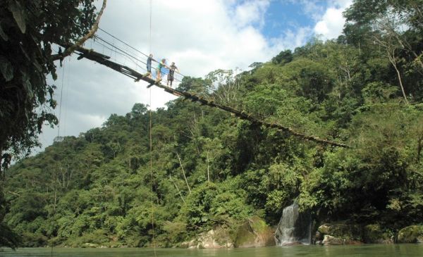 Tena - Misahuallí: Hamadryade Lodge