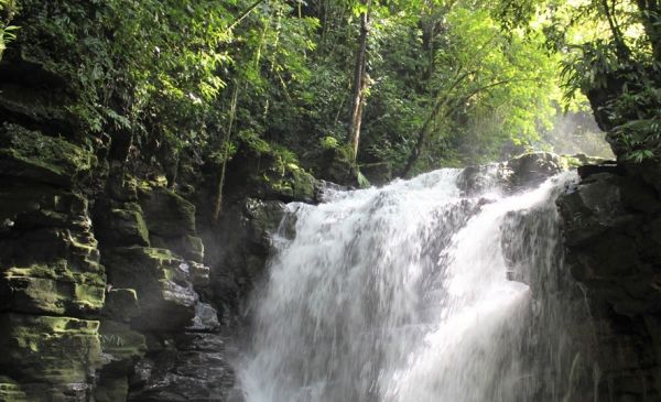 Tena - Misahuallí: Hamadryade Lodge