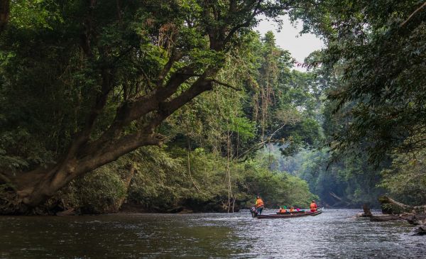 Taman Negara: Mutiara Resort