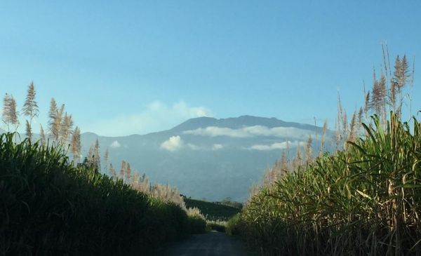 Turrialba: Villa Florencia