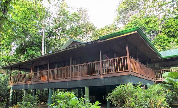 Sarapiquí: Selva Verde Lodge