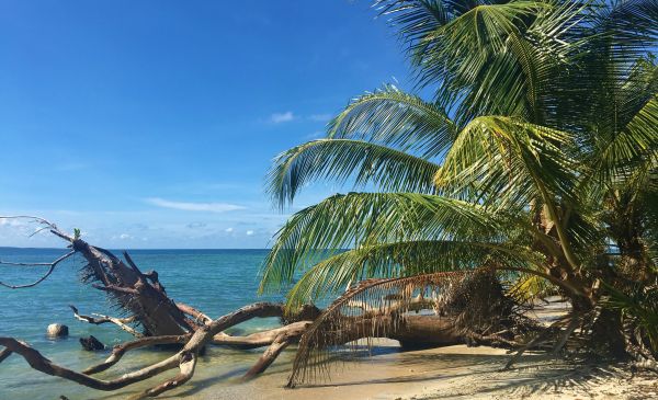 Puerto Viejo Viejo de Talamanca