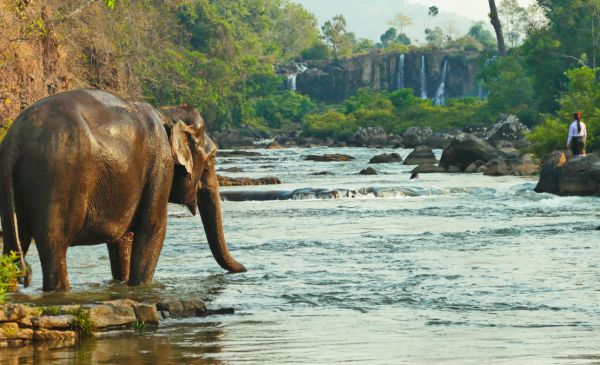 Bolaven Plateau