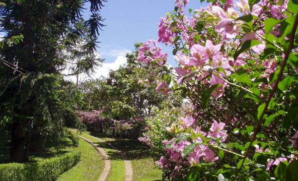 Turrialba: Villa Florencia