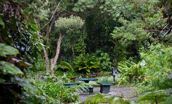 Monteverde: Monteverde Lodge & Gardens