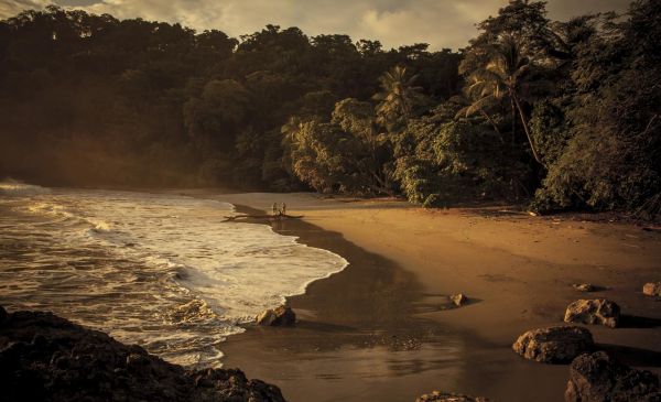 Manuel Antonio: Arenas del Mar Beachfront Resort