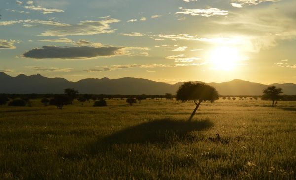 Erongo: Onduruquea Lodge