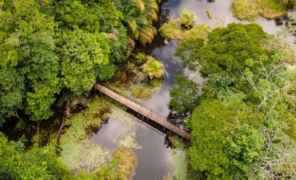 Boca Tapada: Maquenque Ecolodge